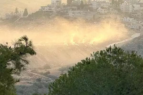 דוברות מתפ"ש