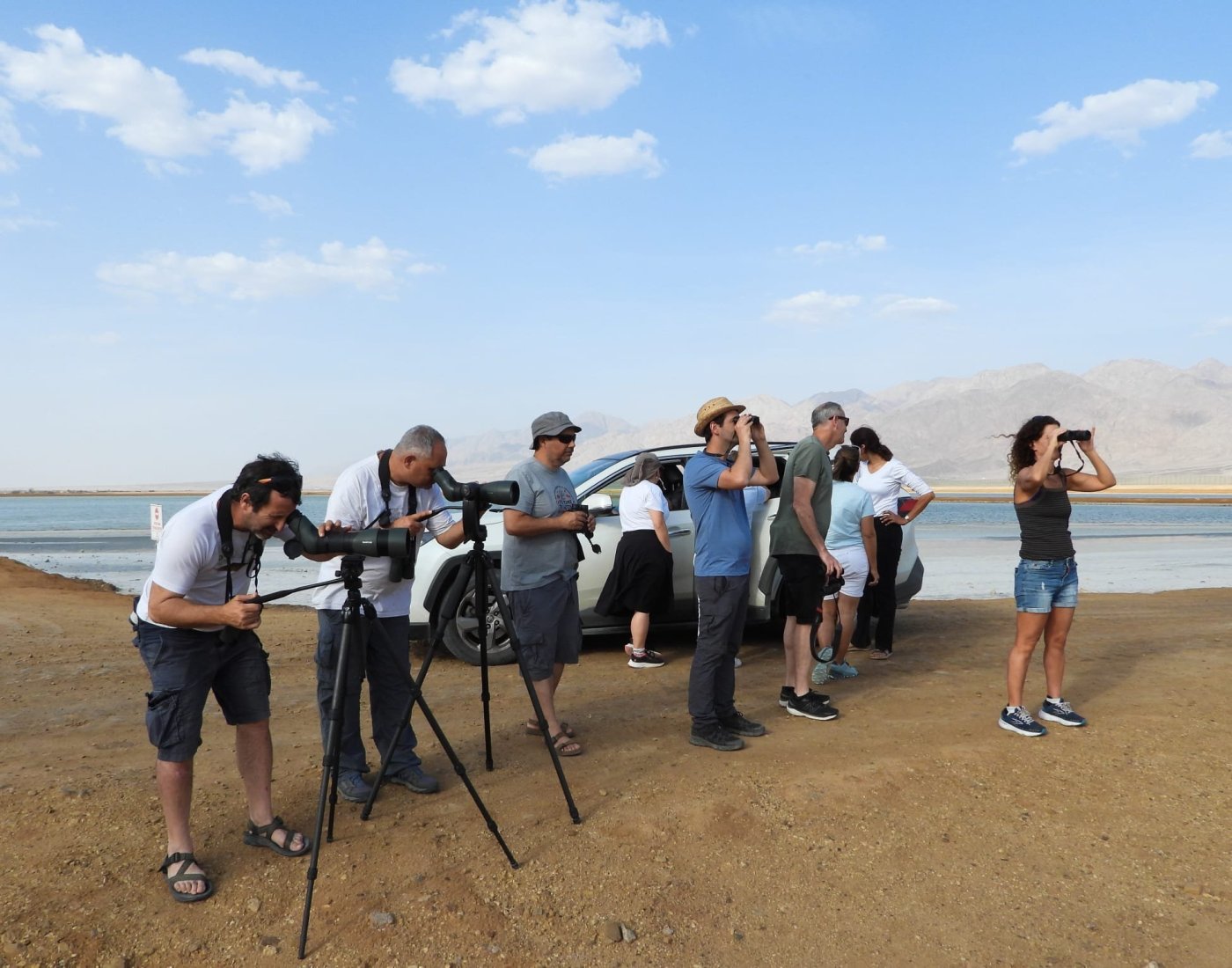 דב גרינבלט, החברה להגנת הטבע