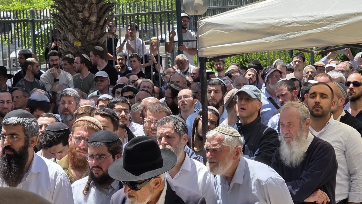 חדשות סרוגים