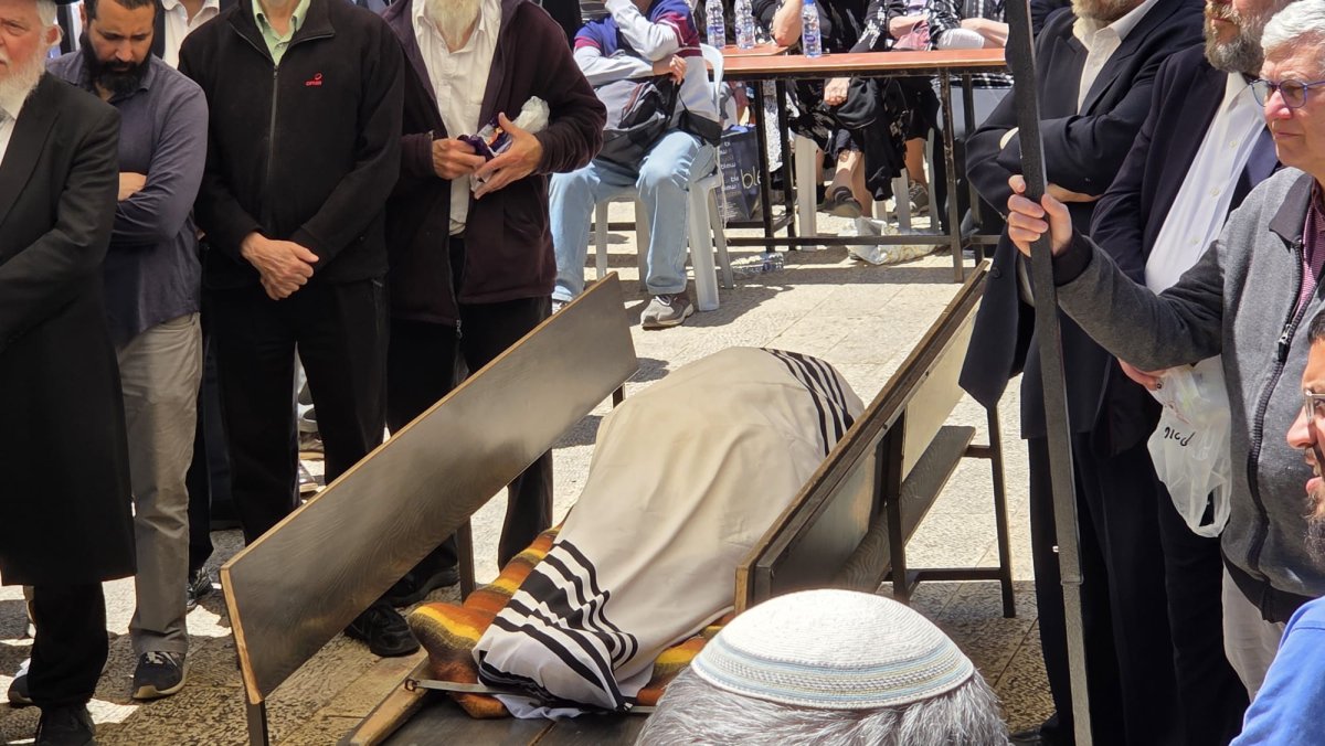 חדשות סרוגים