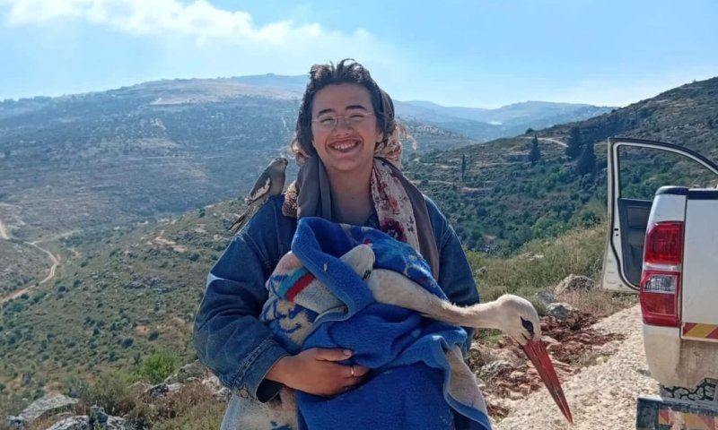 תושבי החווה בשומרון הצילו חסידה שנפגעה במזבלה ערבית