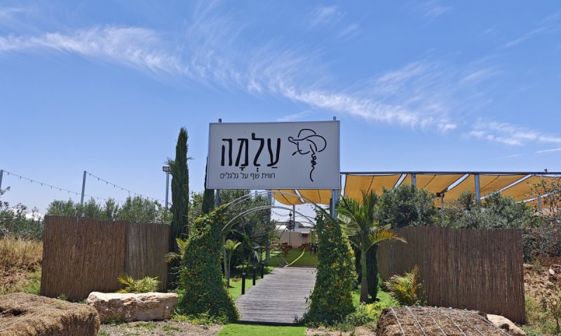על מה ולמה בעלמה